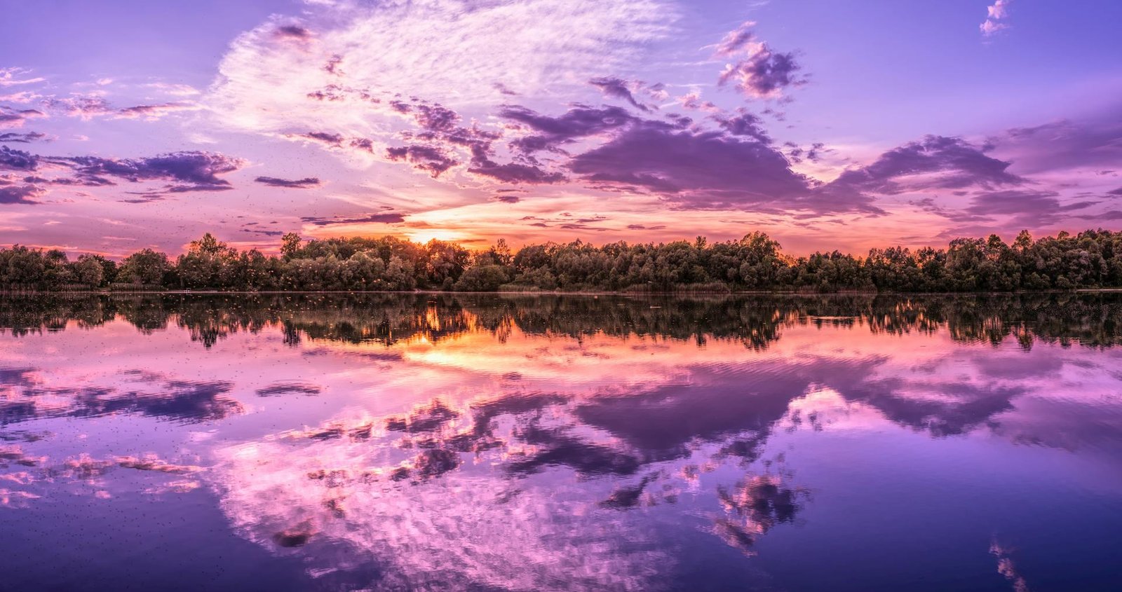 A purple, cloudy sky reflected on a calm lake